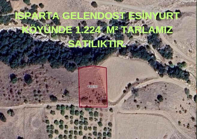 İlan Fotoğrafı